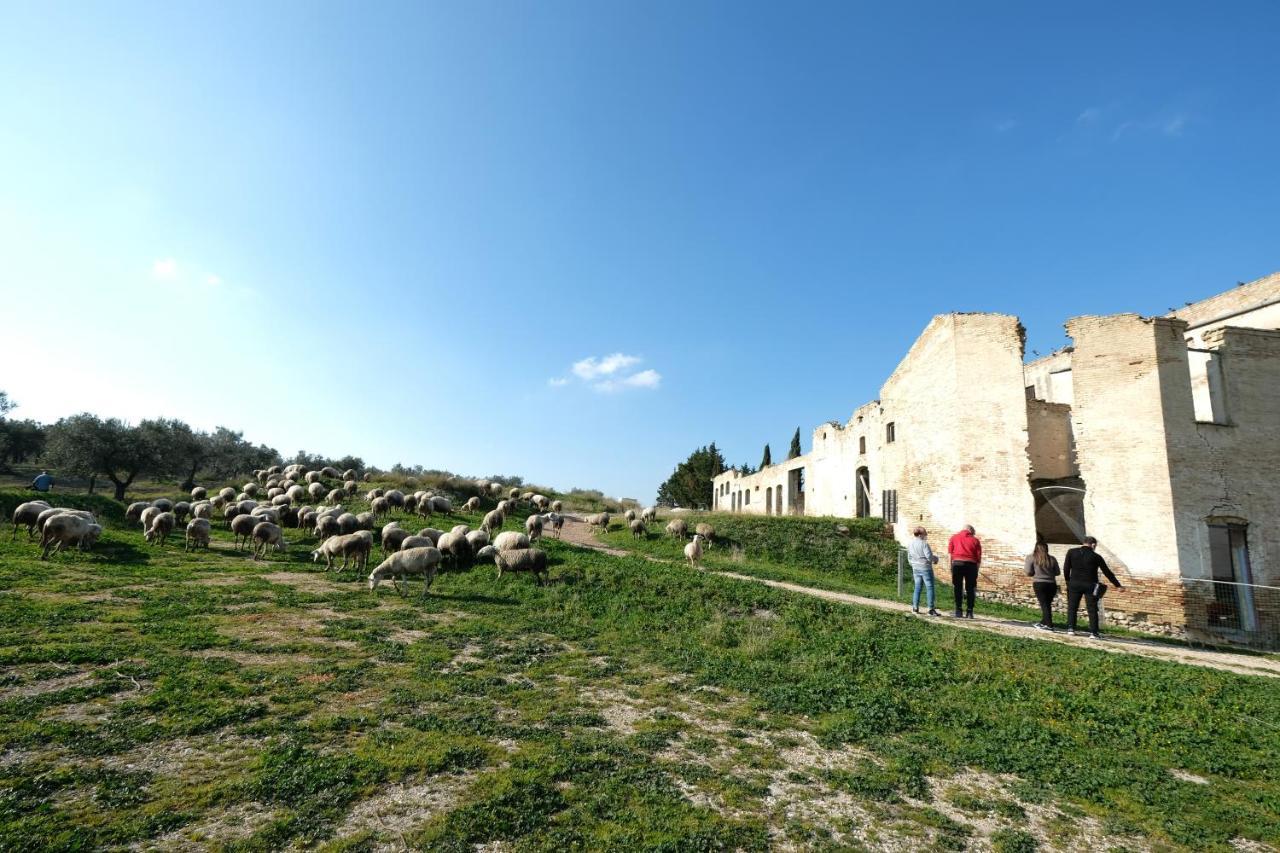 Masseria Sant'Agapito Lucera Εξωτερικό φωτογραφία